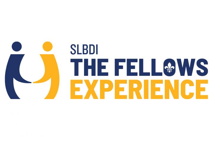 The Fellows Experience graphic