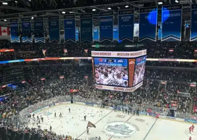 St. Louis Steps Into the National Sports Spotlight