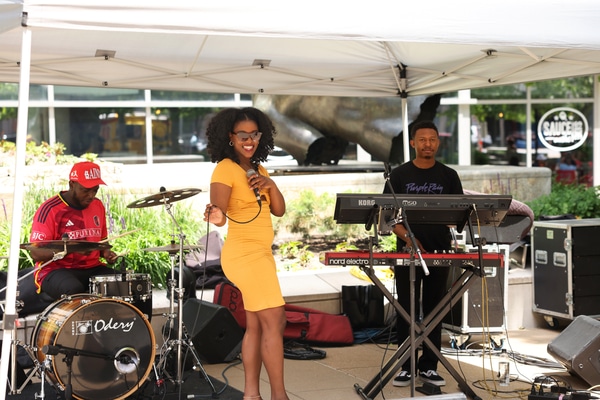 Long row of varied beer tap handles mounted above a stainless-steel drip tray, with wooden shelves of bottles and glassware on a brick back wall.