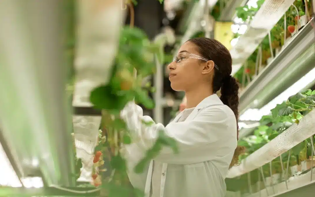 In St. Louis, Agtech Grows — but Keep the Investment Coming