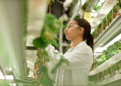 In St. Louis, Agtech Grows — but Keep the Investment Coming