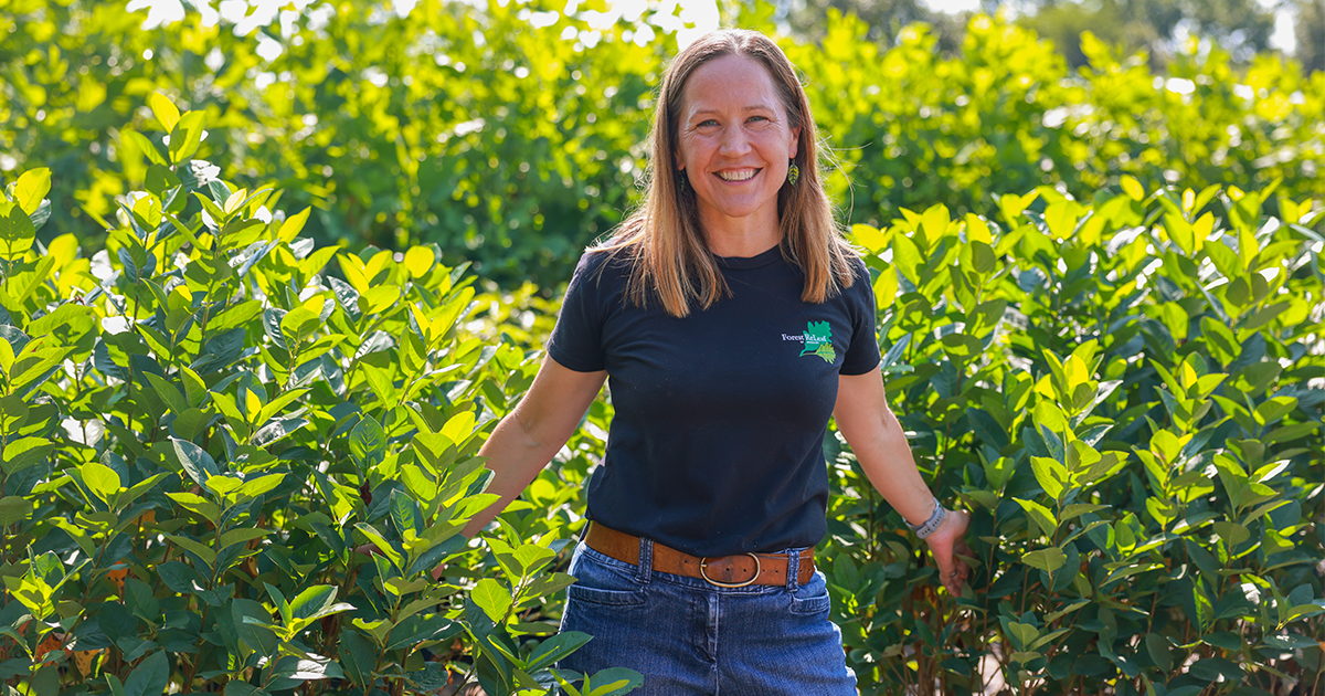 Forest ReLeaf is changing St. Louis one tree at a time