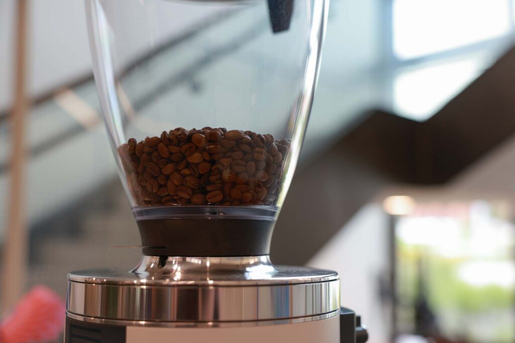 Roasted coffee beans in the clear hopper of a coffee grinder